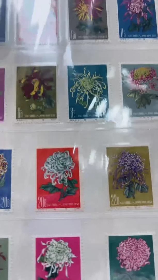 特44 菊花套票 1960年 封装评级 邮票