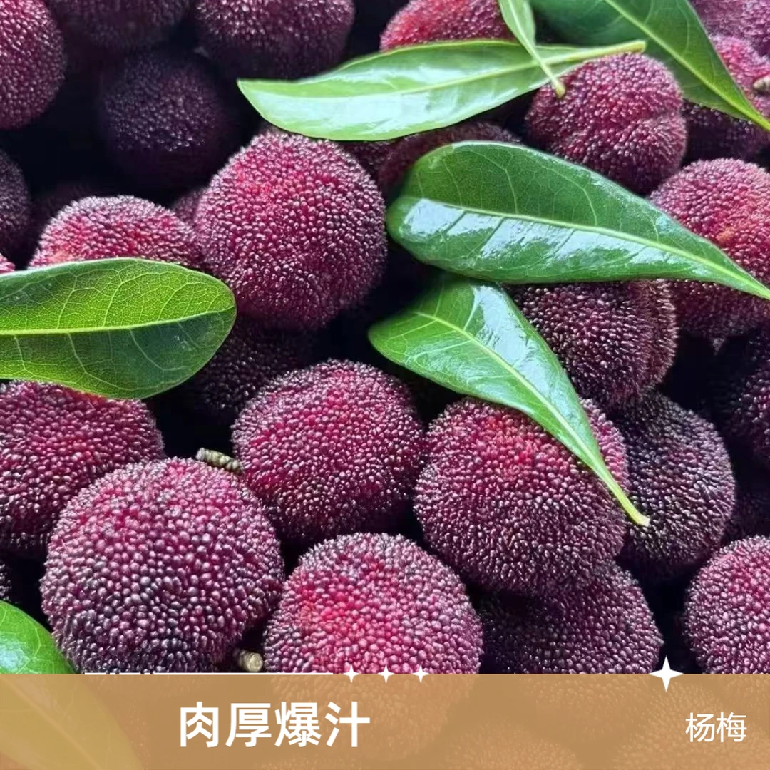 【杨梅】核小肉厚爆汁爽口（盒装约400g）