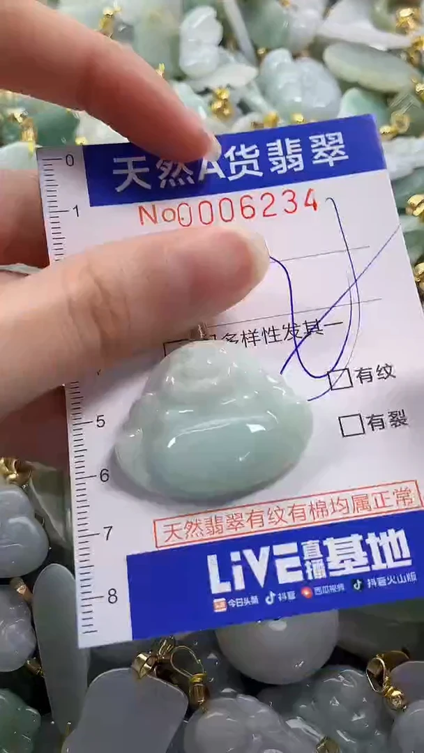 颈饰未镶嵌翡翠纯天然货a翡翠