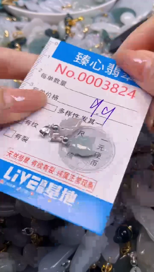 颈饰未镶嵌翡翠3824