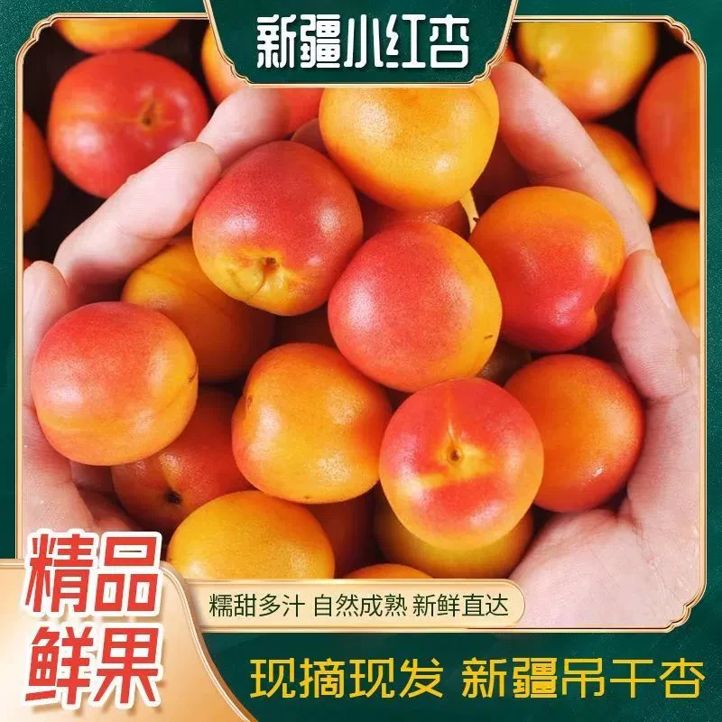 新疆伊犁夏天的果园精品吊干小红杏皮薄肉厚甜而不腻礼盒包装