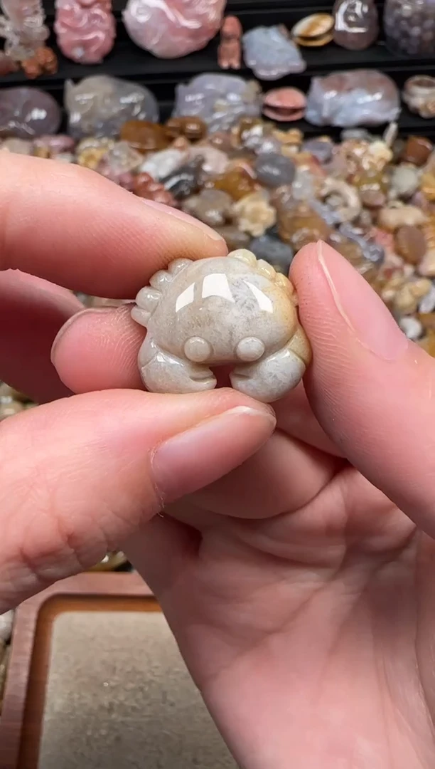 颈饰未镶嵌硅化珊瑚（珊瑚玉）111