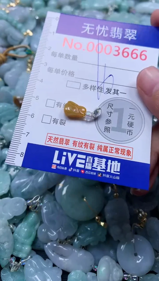 颈饰未镶嵌翡翠3666