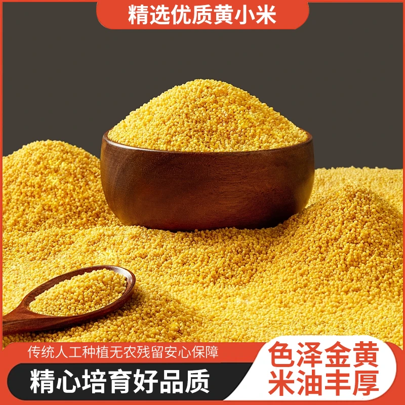 【买3斤送2斤到手5斤】农家黄金苗熬粥黄小米产地直发