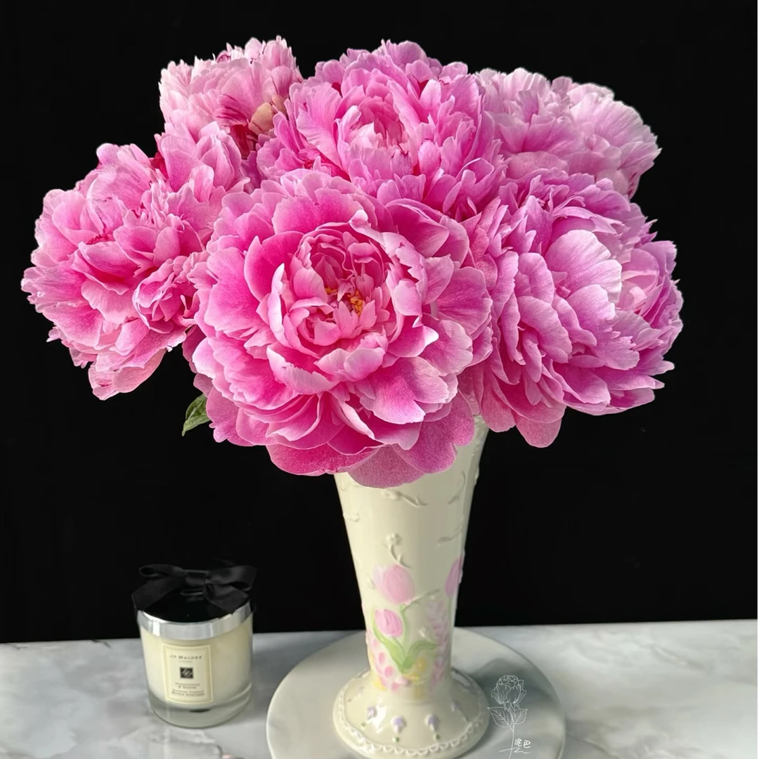 【云舍花卉】【小鹿】芍药【花期短介意勿拍】满两单及以上鲜花包邮