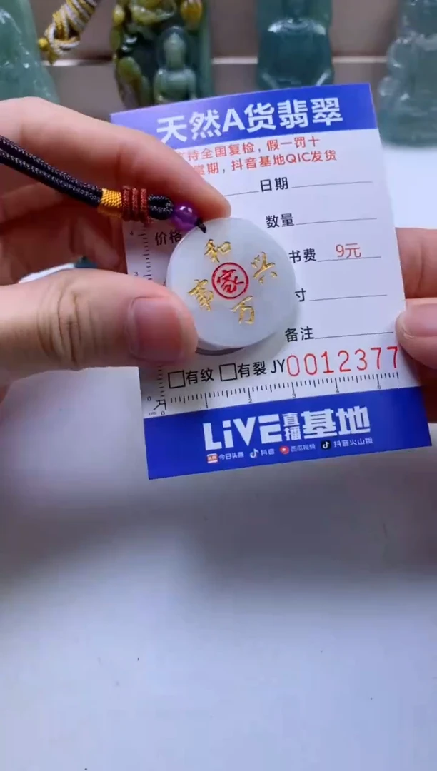翡翠未镶嵌颈饰