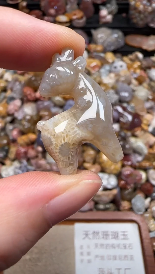 硅化珊瑚（珊瑚玉）未镶嵌颈饰686