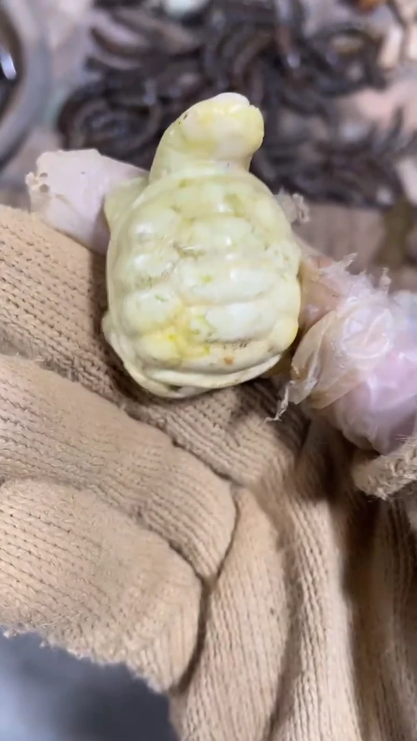 未镶嵌和田玉挂件未镶嵌和田玉把件