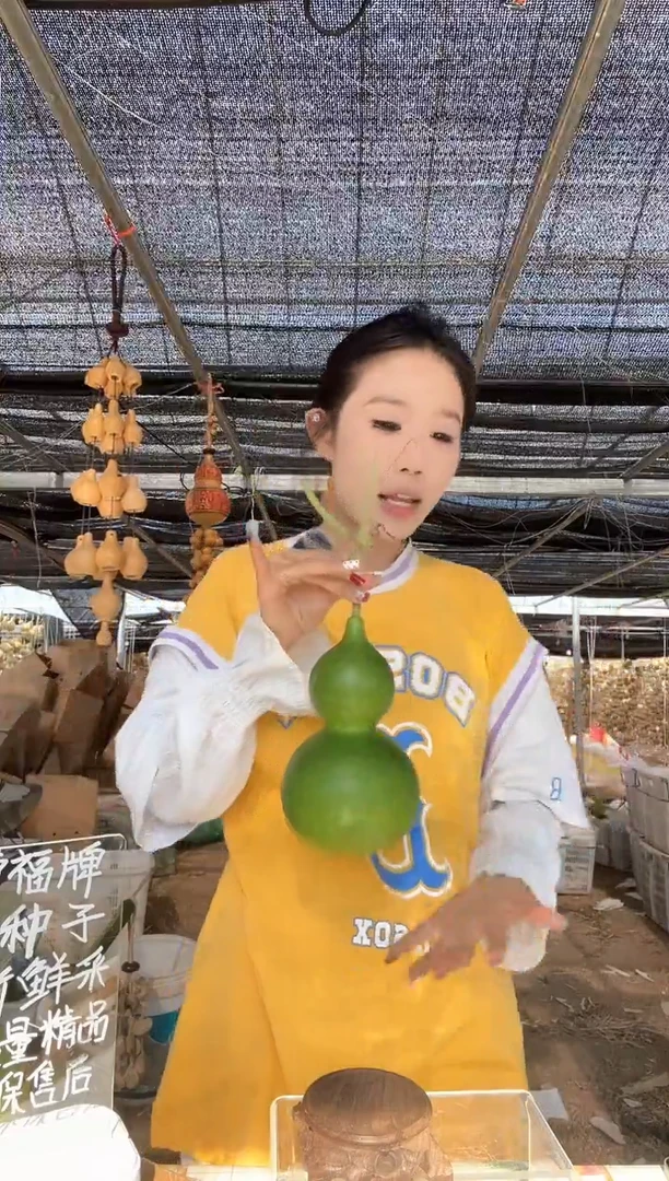 063天然葫芦摆件 一物一拍龙头不保售后