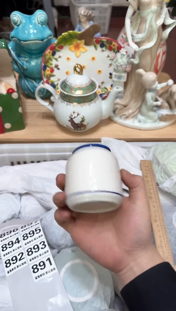 【闪购商品】瓷片891默认微瑕19.9包邮----