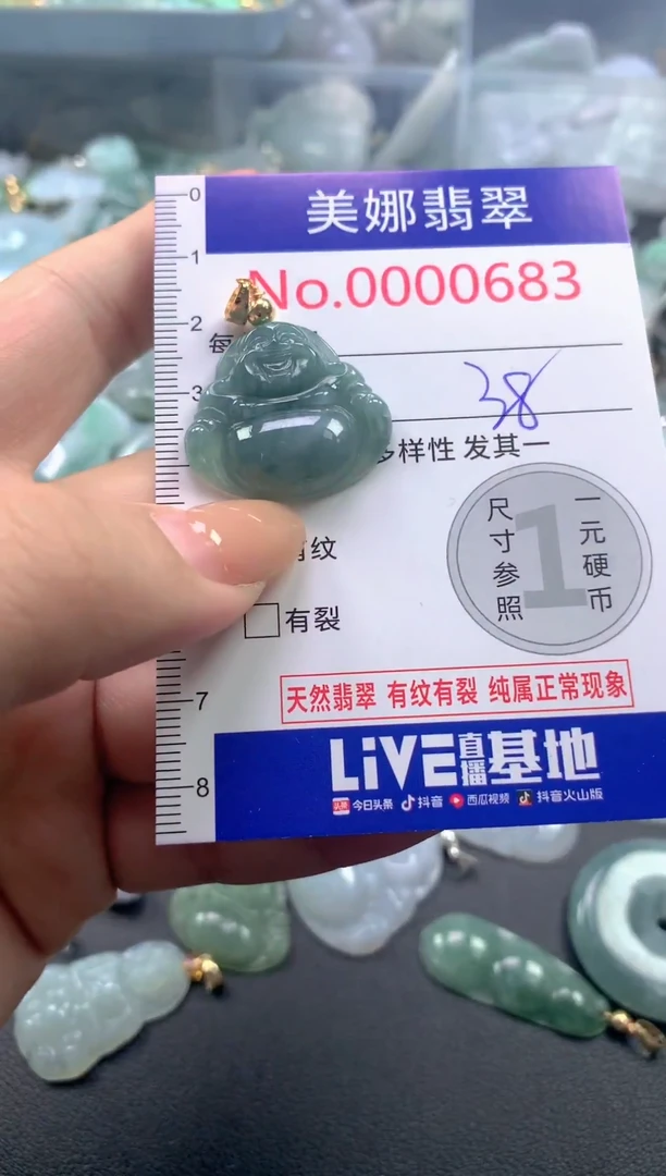 颈饰未镶嵌翡翠683