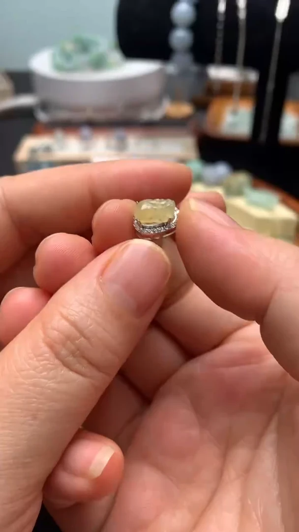 【闪购商品】翡翠颈饰银S925镶嵌翡翠镶嵌貔貅