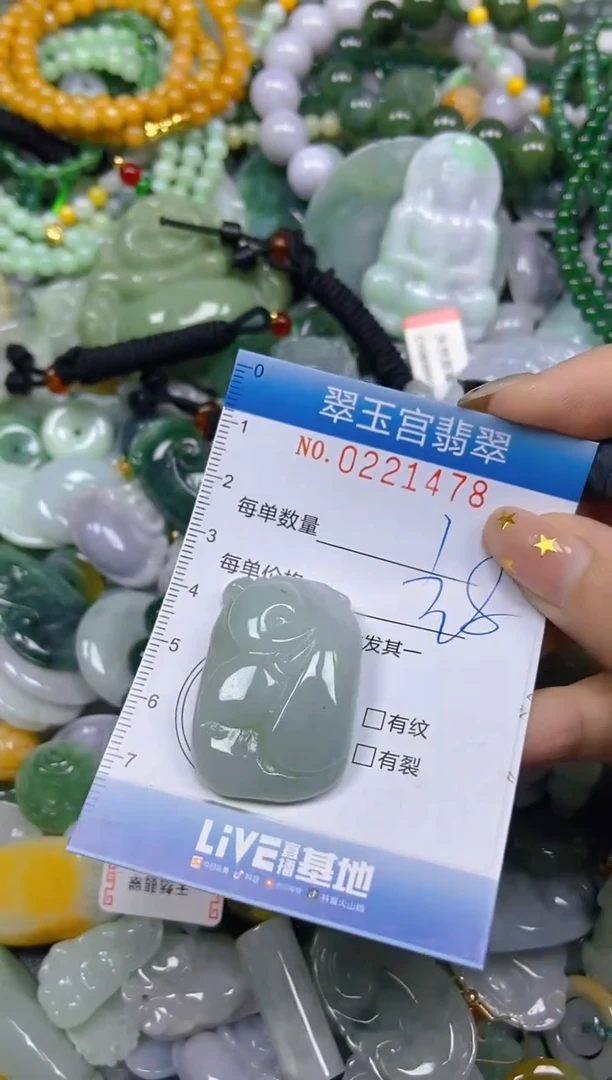 颈饰未镶嵌翡翠闪购C0221478