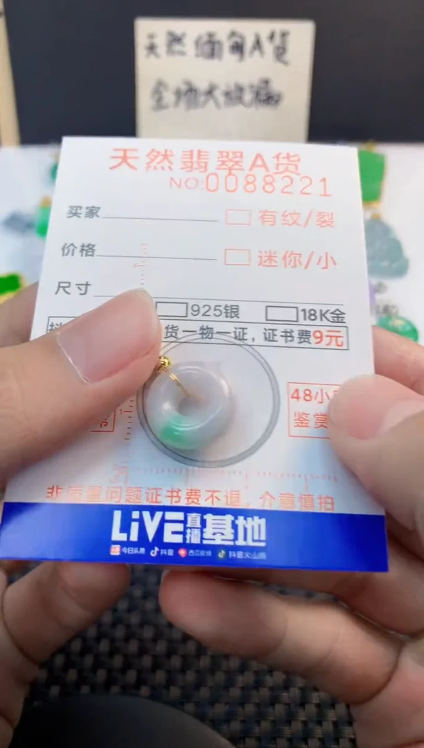 翡翠未镶嵌吊坠(不含链)1
