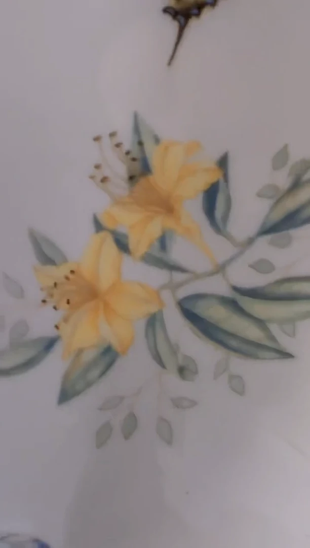 土*皮盘子瓷**************