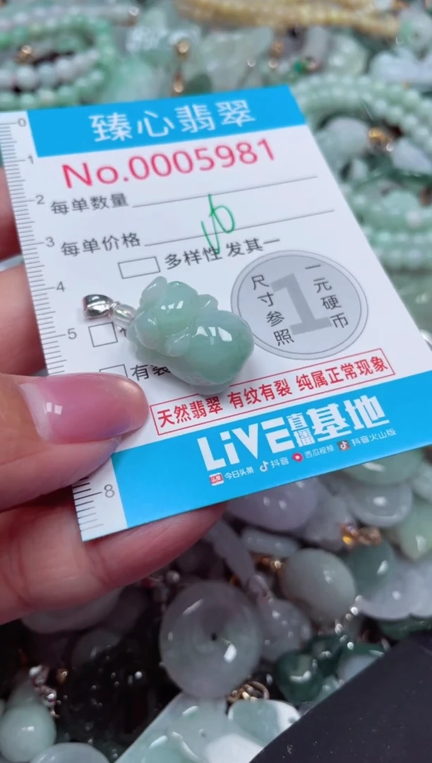 颈饰未镶嵌翡翠5981