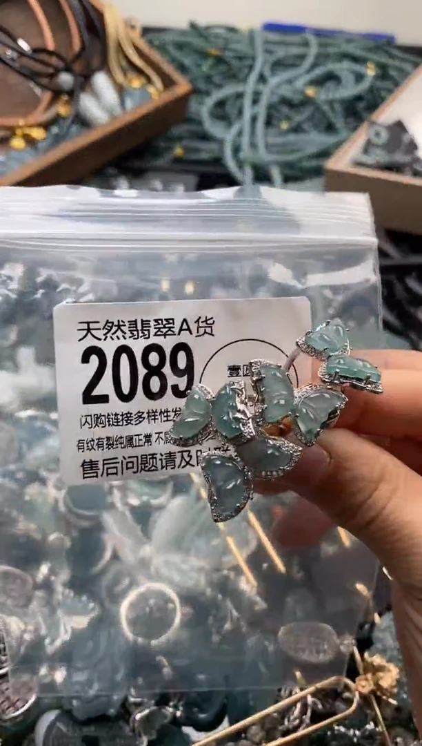 【闪购商品】翡翠颈饰未镶嵌多样性发其一2089
