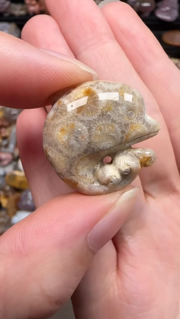 硅化珊瑚（珊瑚玉）未镶嵌颈饰865