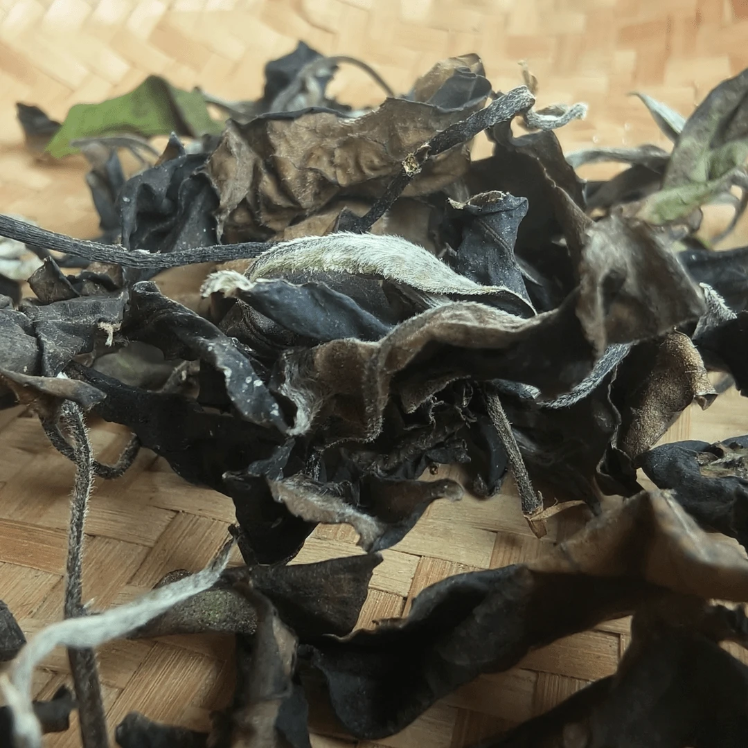 千家道明有机茶园的白茶（贡眉）200克散装