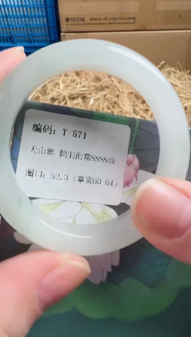 未镶嵌手镯石英质玉T-571