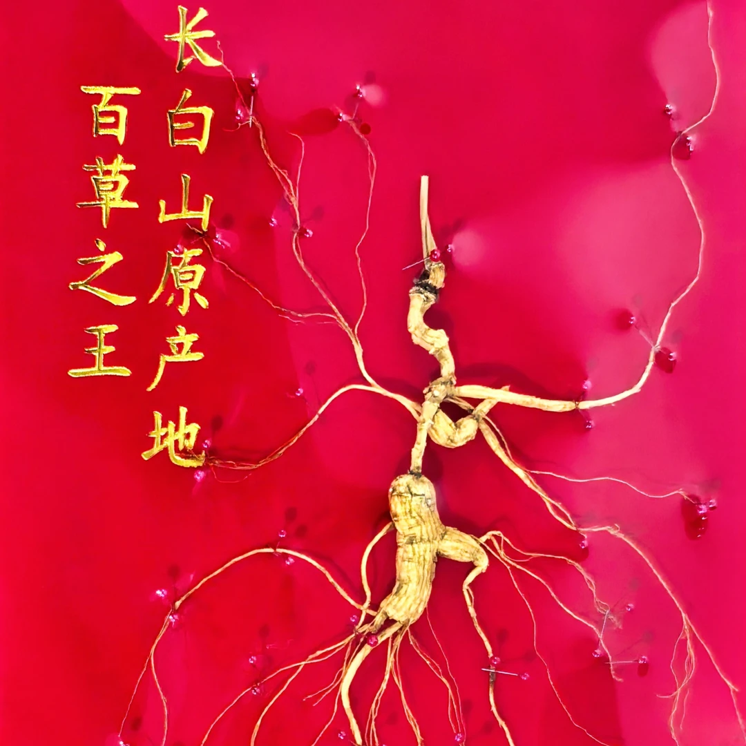 长白山高年份林下参【改价链接】