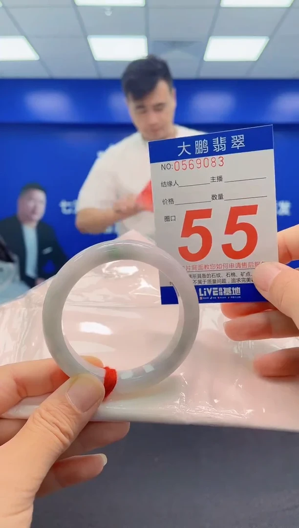 未镶嵌手镯翡翠AAAAAAAAA