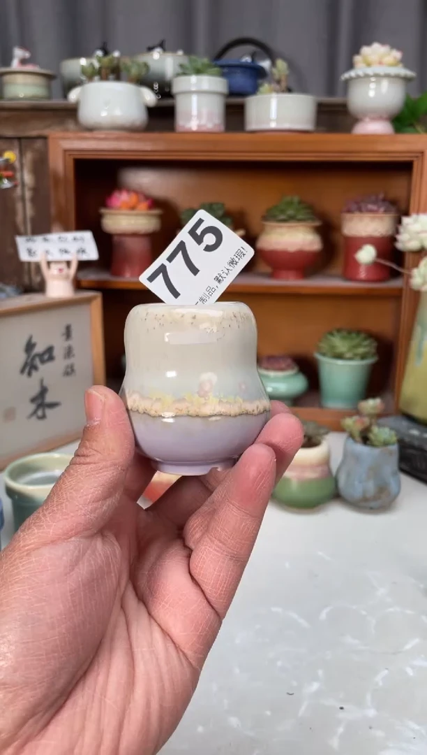 瓷片锐**行775小芳直播编号