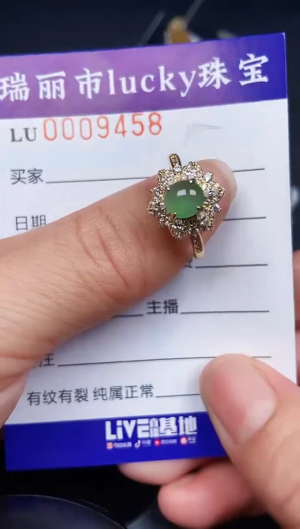 翡翠银S925镶嵌颈饰9458