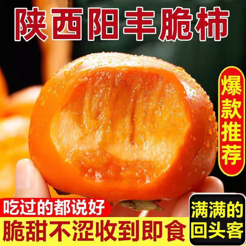 【巧克力脆柿】2025年新鲜采摘脆甜多汁陕西正宗阳丰脆柿果园直发