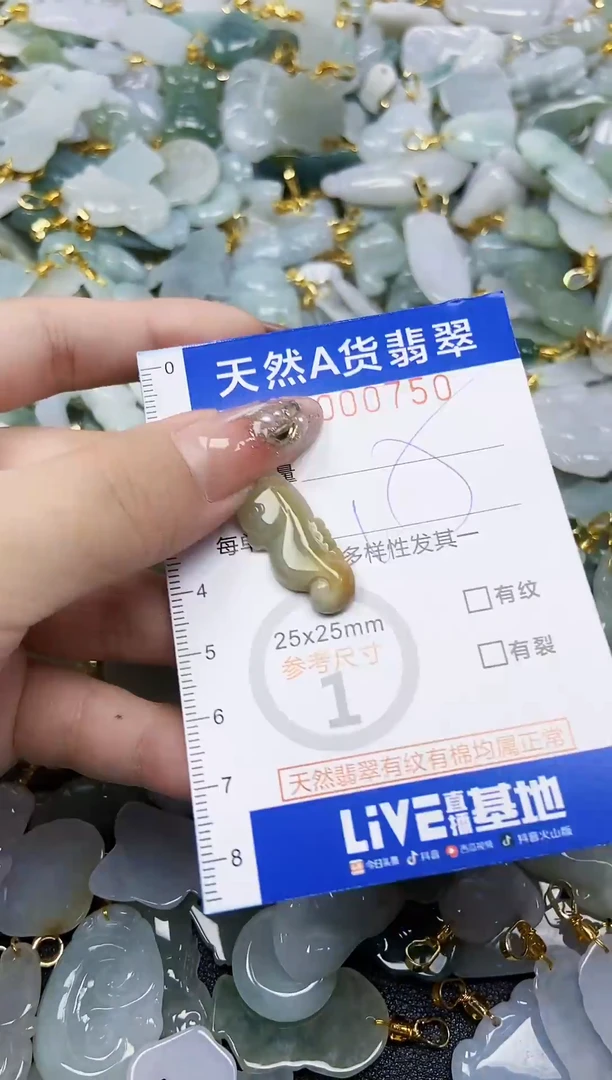 翡翠未镶嵌颈饰天然A货翡翠