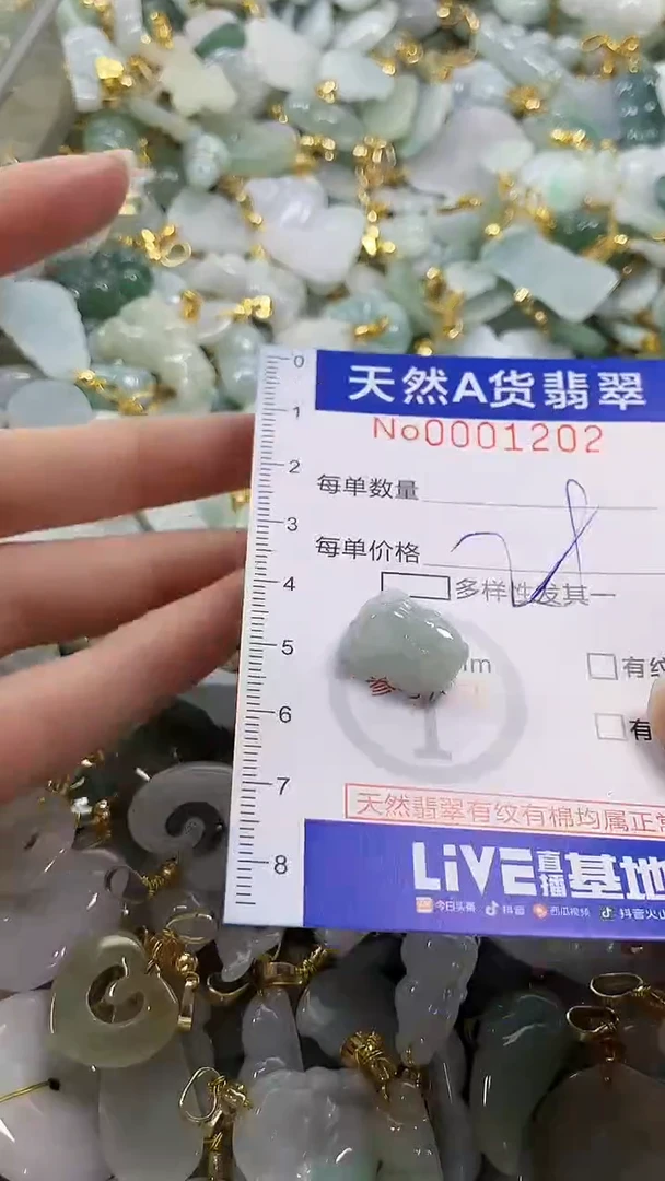 颈饰未镶嵌翡翠纯天然a货翡翠