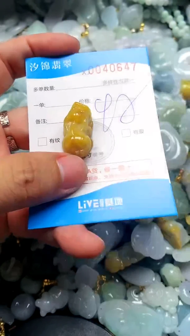 颈饰未镶嵌翡翠闪购商品0040647