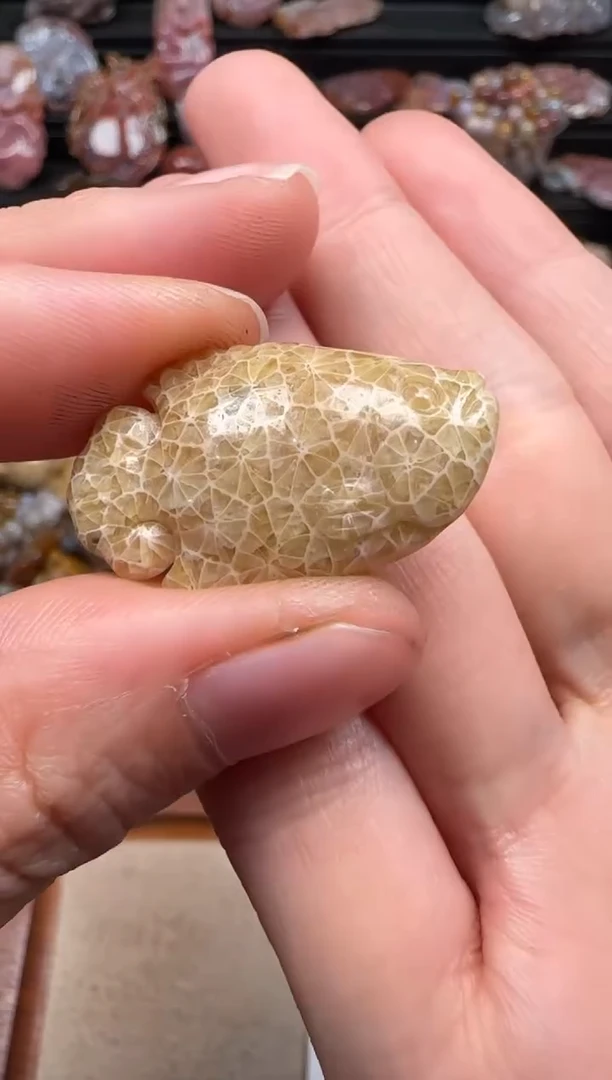 【闪购商品】硅化珊瑚（珊瑚玉）颈饰未镶嵌235