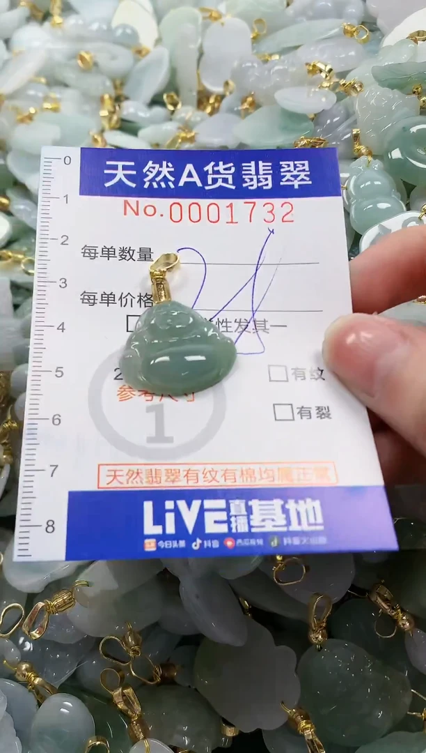 颈饰未镶嵌翡翠纯天然a货翡翠