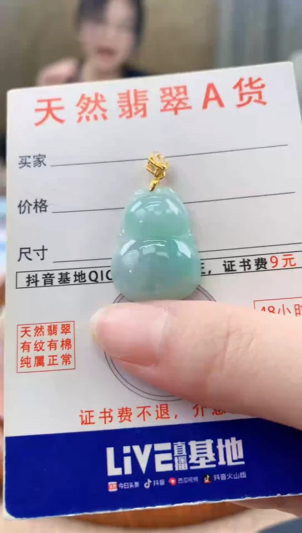 颈饰未镶嵌翡翠天然A货翡翠挂件