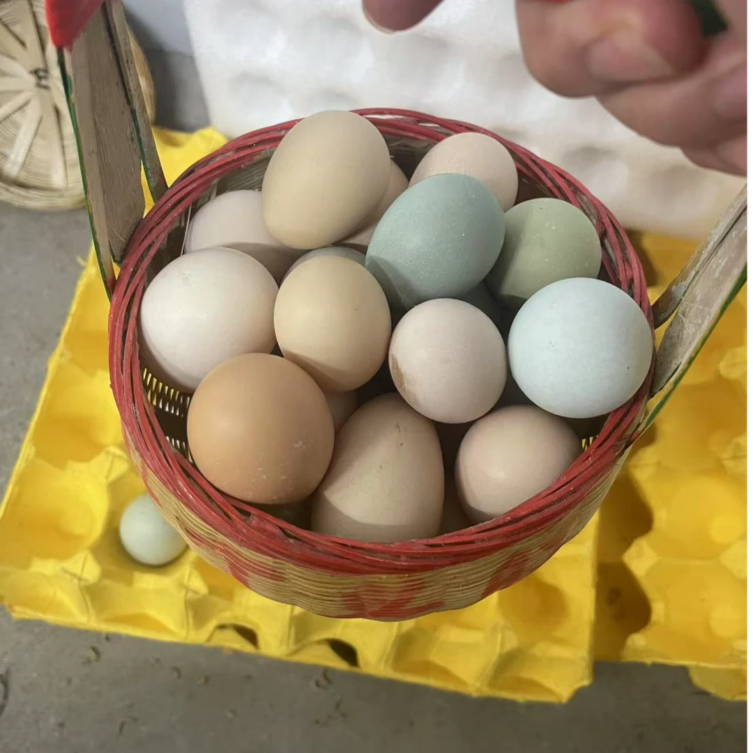 【潮汕同学农产品】本地三黄鸡蛋食用农产品，农家土鸡蛋，广东包邮