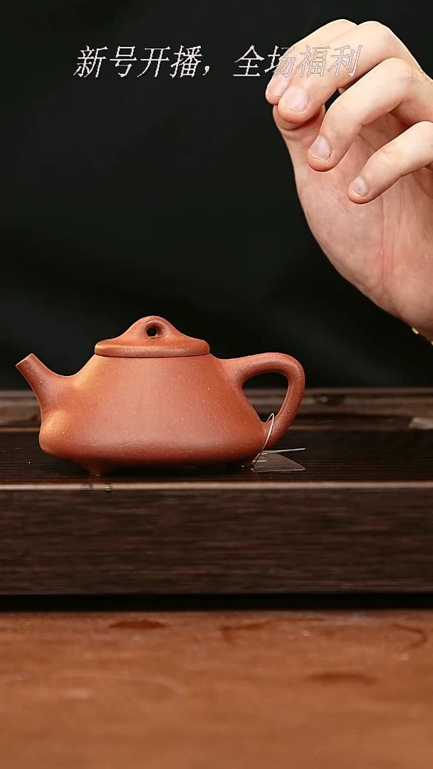 茶壶紫砂27y20底槽青子冶