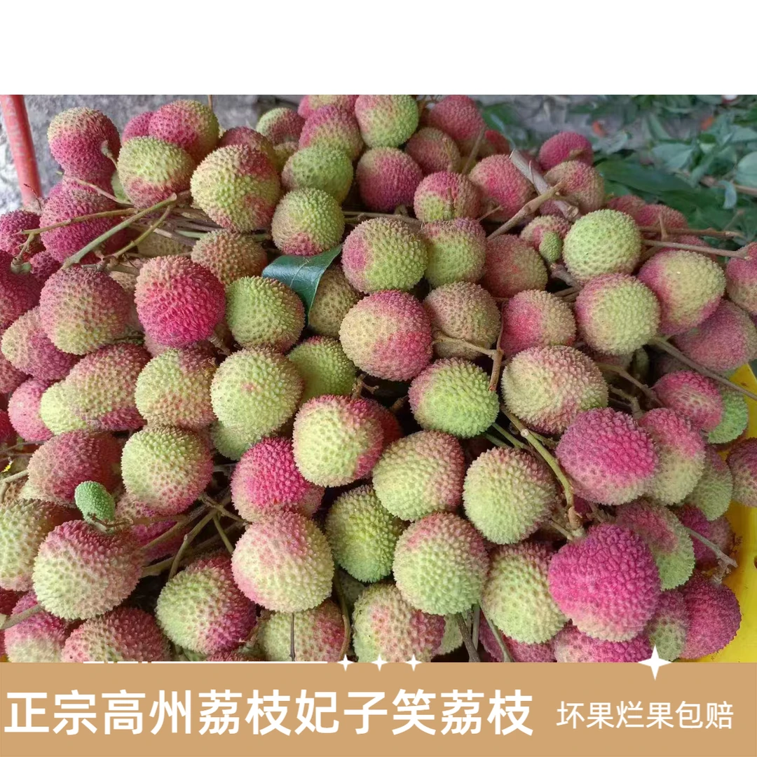 高州妃子笑荔枝老树产地现摘现发鲜甜多汁1/3/5斤整箱冷链包邮