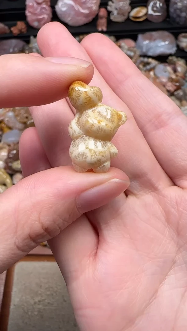 颈饰未镶嵌硅化珊瑚（珊瑚玉）014