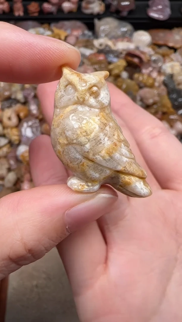 硅化珊瑚（珊瑚玉）未镶嵌颈饰757