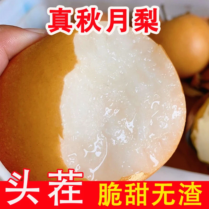 【2025年正宗莱阳秋月梨】中秋礼盒脆甜多汁应季水果山东脆甜鲜梨