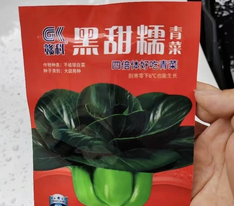 黑甜糯青菜种子叶片肥厚口感甜糯菜型美观