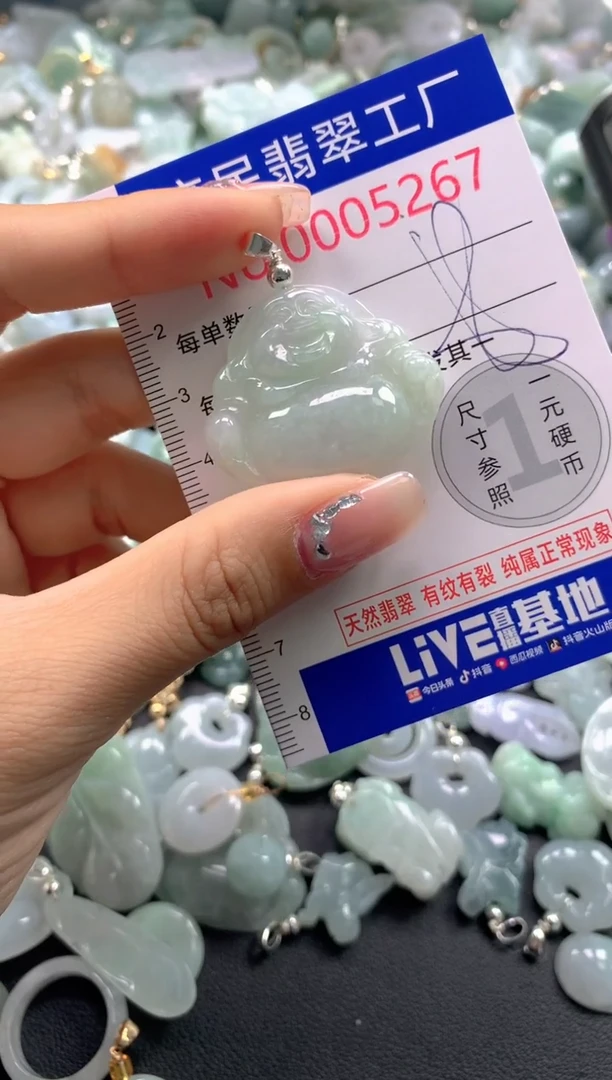 颈饰未镶嵌翡翠5267