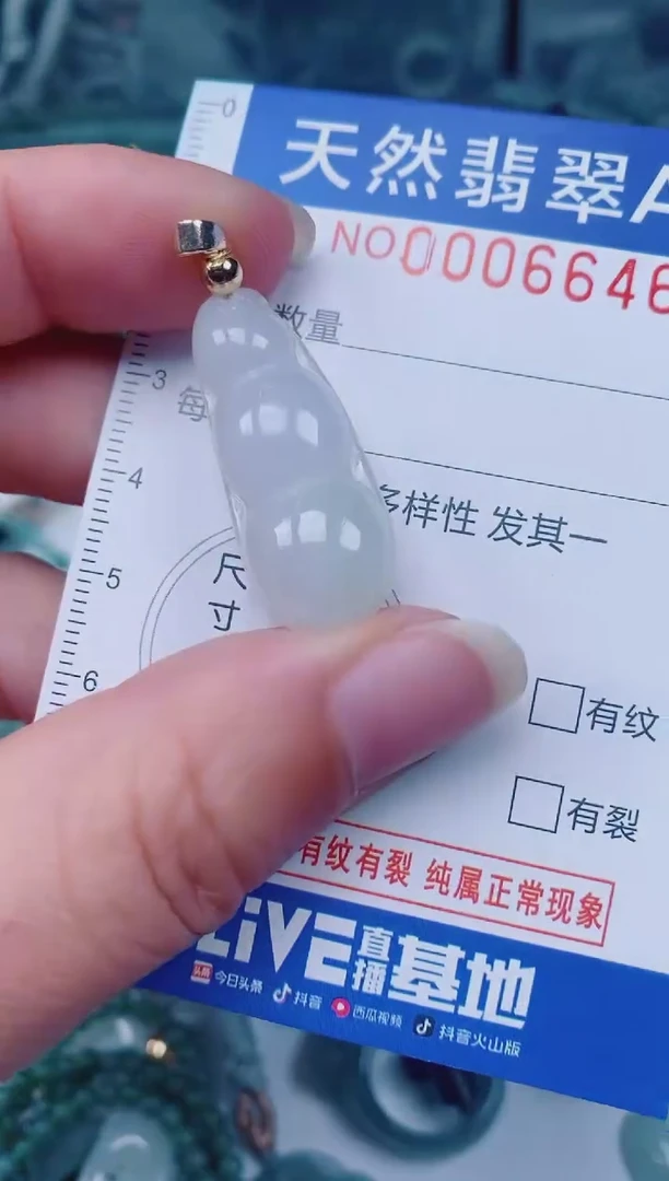 颈饰未镶嵌翡翠00006646