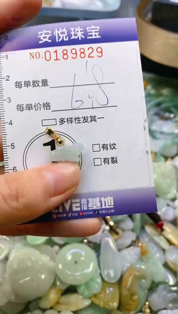 翡翠未镶嵌颈饰闪购0189829