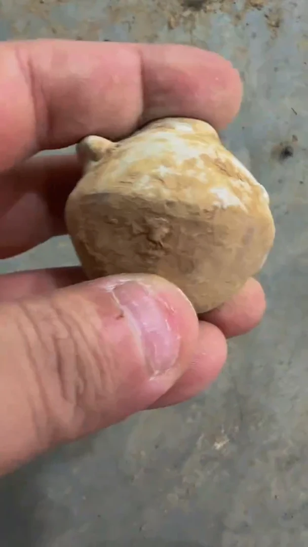 【闪购商品】摆件瓷摆件瓷摆件