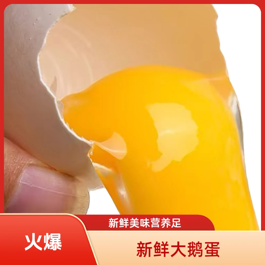 大蛋 顺丰送货上门 山东莱阳散养土鹅蛋 大单黄蛋 12枚单枚100g左右