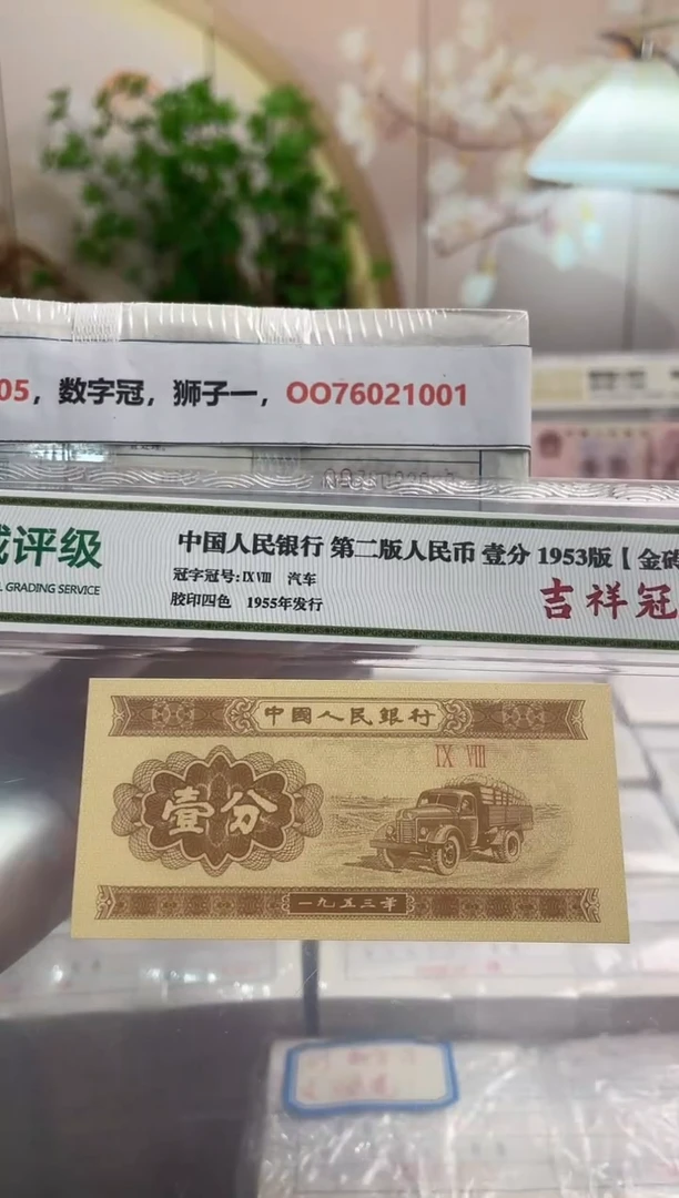 M，05，数字冠，狮子一，OO76021001