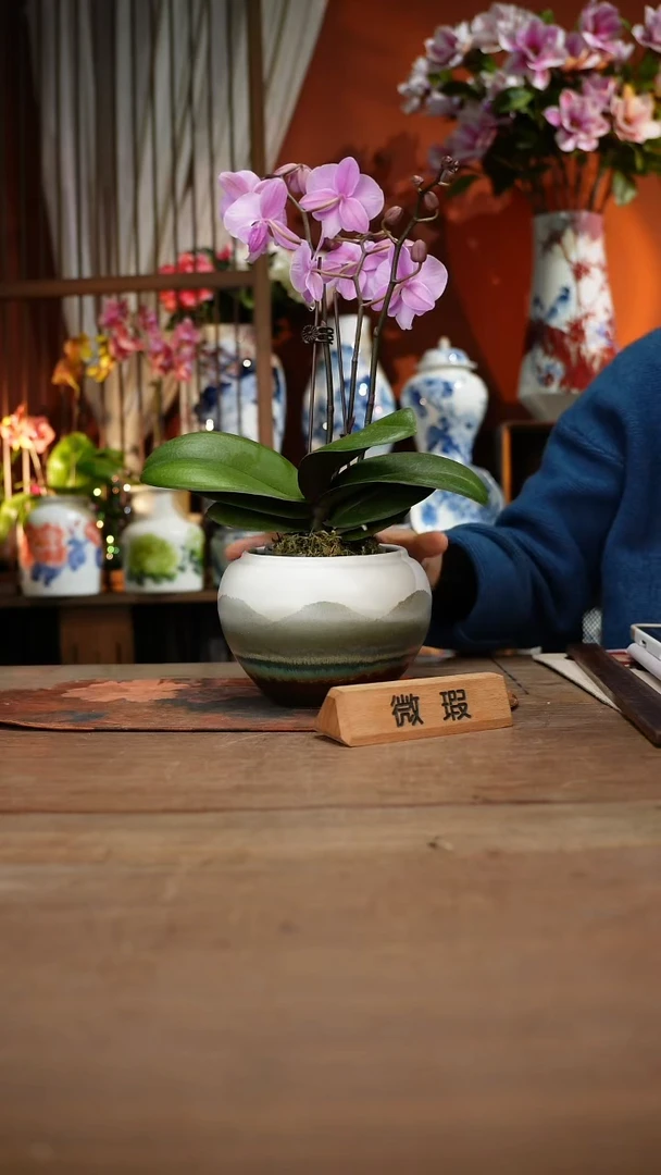 当代高温釉下彩手绘陶瓷餐具