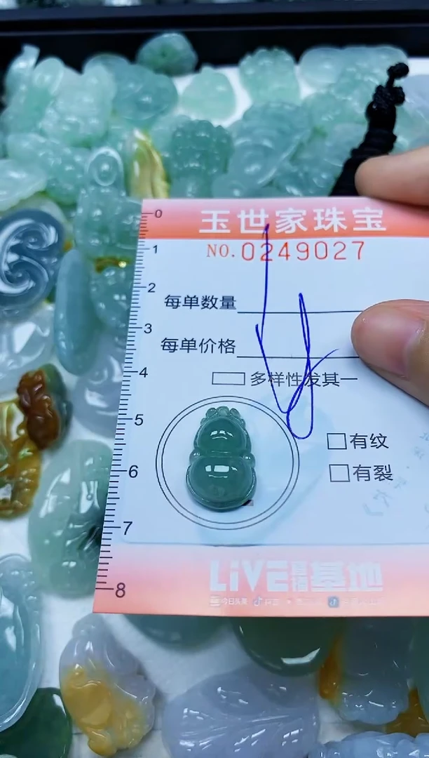 翡翠未镶嵌颈饰闪购0249027